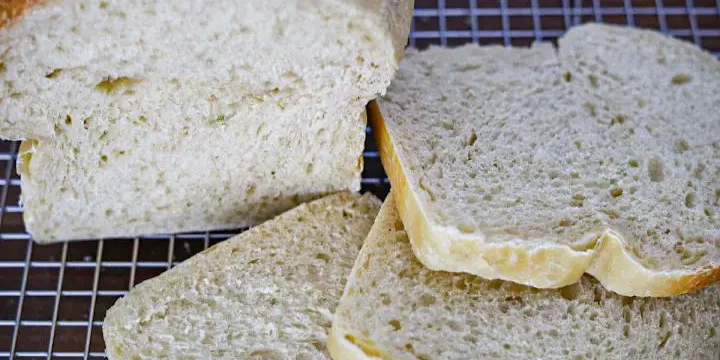 Easy sourdough GLUTEN FREE sandwich bread