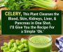 Fresh Celery Smoothie Recipe – Refreshing, Simple & Delicious